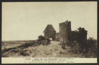 51 - Ruines du Château de Rosemont (Nièvre).