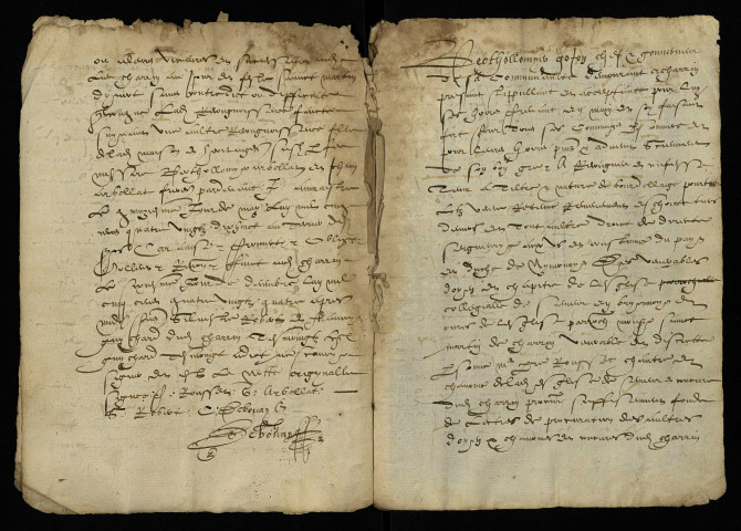 Cure de Charrin : terrier.