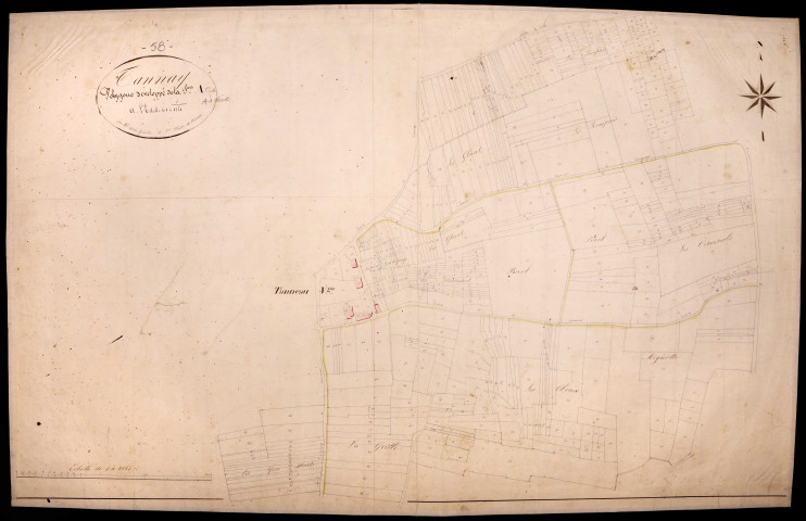 Tannay, cadastre ancien : plan parcellaire de la section A dite de Tanneau, feuille 1, développement