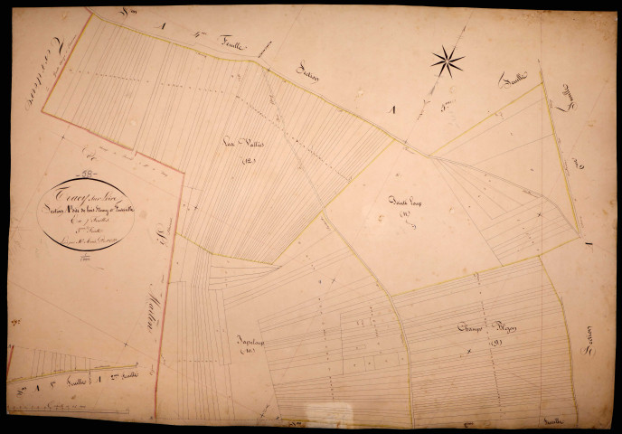 Tracy-sur-Loire, cadastre ancien : plan parcellaire de la section A dite de Bois Fleury et Fontenille, feuille 3