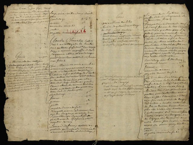 Pièce 2. - Extrait du terrier de Valotte en la paroisse de Saint-Christophe-d'Azy, signé par différents notaires.
