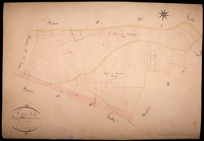 Tracy-sur-Loire, cadastre ancien : plan parcellaire de la section D dite de Bois Gibault, feuille 5
