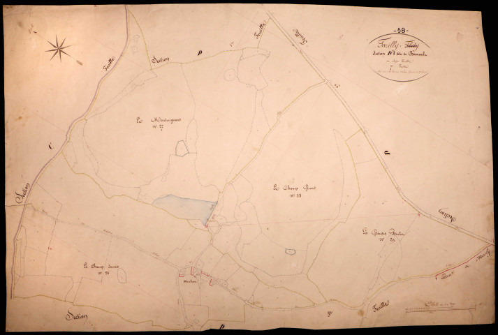 Tazilly, cadastre ancien : plan parcellaire de la section D dite de Barnaud, feuille 7