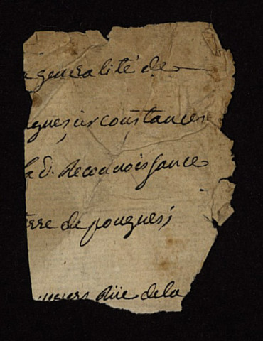 Fief de Pougues : terrier.