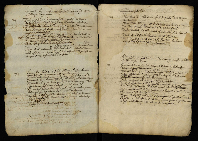 Confection du terrier de Surgy : extrait du terrier.