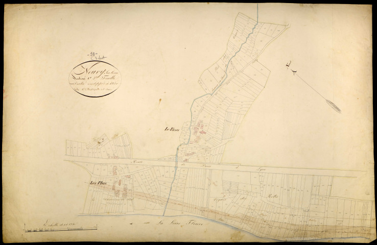 Neuvy-sur-Loire, cadastre ancien : plan parcellaire de la section C dite des Pelus, feuille 3, développement