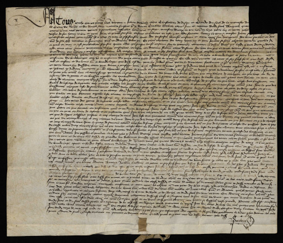 Biens et droits. - Foncier à Cercy-la-Tour, amodiation à Thoreau par Dreux Le Tort et consorts : copie d'une reconnaissance de bourdelage du 23 mai 1446.