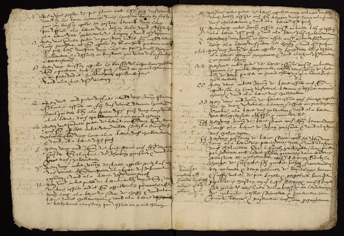 Fief de La Brosse à Devay : terrier.