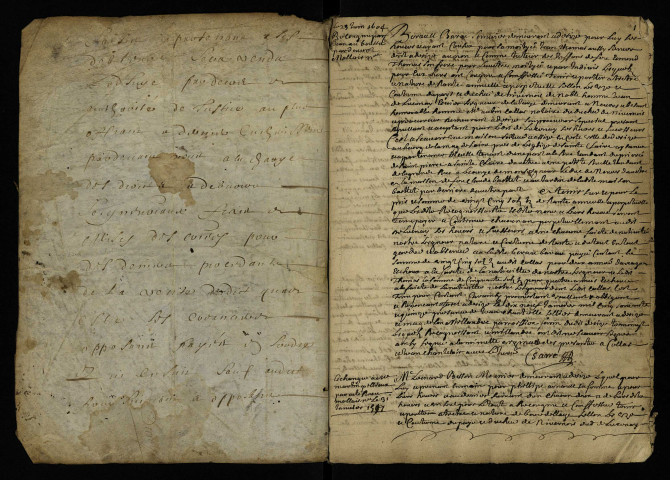 Famille Millin : terrier, reconnaissance de droits.