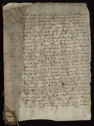 Fief de Morand à Champvert : terrier.