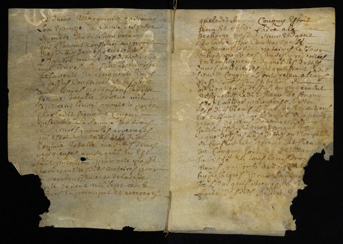 Biens et droits. - Rente hypothécaire Desprez, vente par le seigneur de Cougny (commune de Saint-Jean-aux-Amognes) aux ursulines de Nevers : copie du contrat de constitution du 24 novembre 1684.