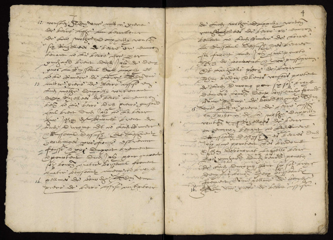 Fief de Druy : terrier lacunaire.