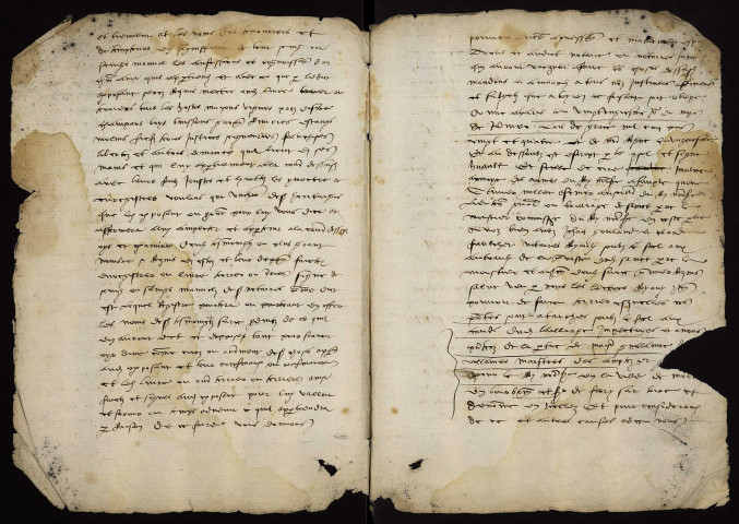 Fief de Fleury-sur-Loire : terrier.