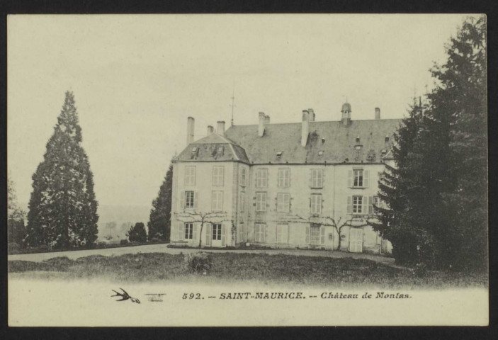 SAINT-MAURICE – Château de Montas