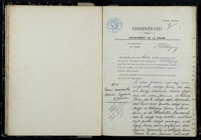 Alligny-Cosne : actes d'état civil.