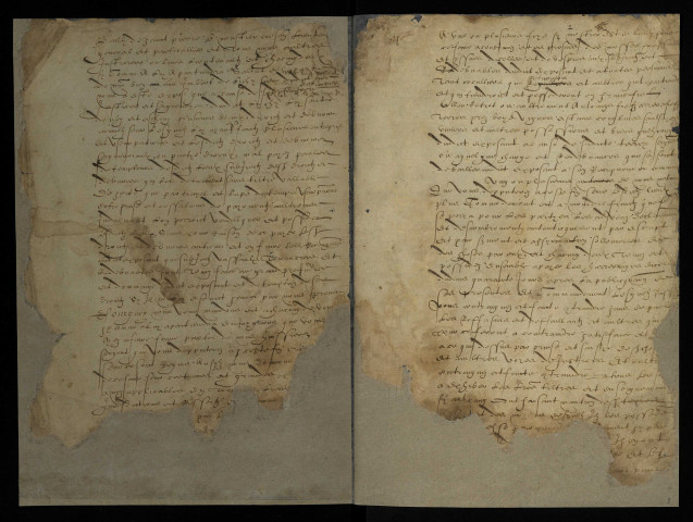 Terre de Lichy à Bona : terrier établi par le notaire Jean Loget.