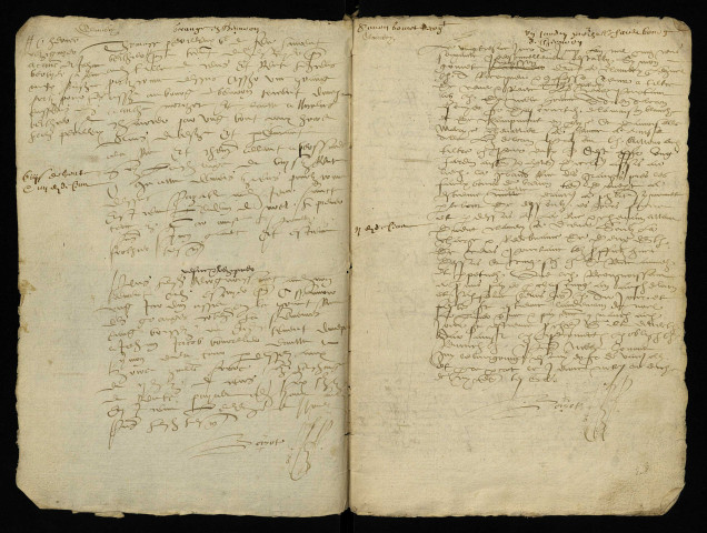 Fief de Champmorot (Champmoreau) à Ouagne : terrier.