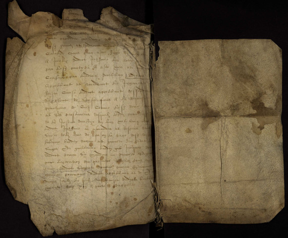 Tenures roturières à Decize et ses environs : lièves terrier.