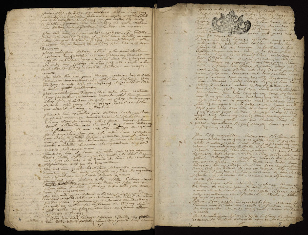 Fief de Druy : terrier lacunaire.