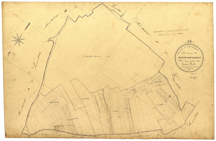 Corvol-d'Embernard, cadastre ancien : plan parcellaire de la section C dite des Bois, feuille 3