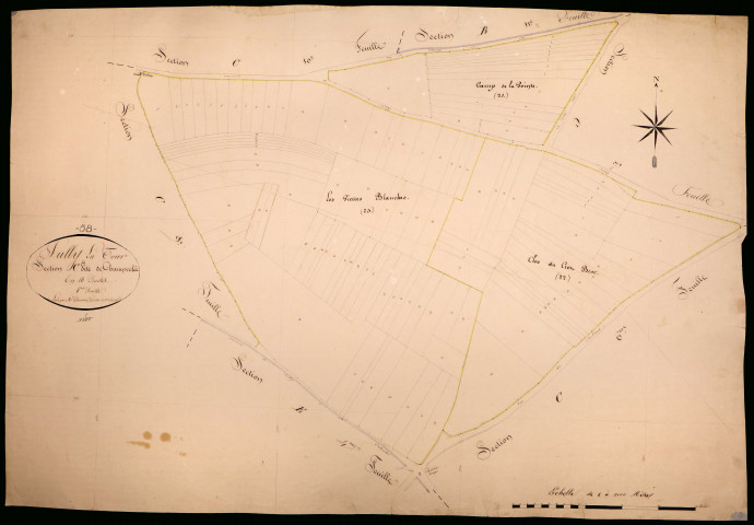 Suilly-la-Tour, cadastre ancien : plan parcellaire de la section C dite de Champcelée, feuille 8