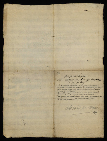 Droits du seigneur Alixand de Maux sur des vignobles de La Pétroque et des Saulaies à Marzy : plan.